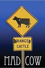 Watch Mad Cow 123MovieFree