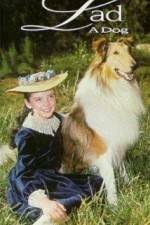Watch Lad A Dog 123MovieFree