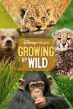 Watch Growing Up Wild 123MovieFree