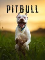 Watch Pitbull 123MovieFree