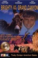 Watch Brighty of the Grand Canyon 123MovieFree