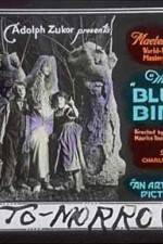 Watch The Blue Bird 123MovieFree