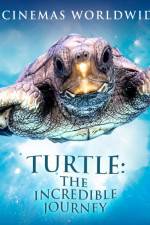 Watch Turtle The Incredible Journey 123MovieFree