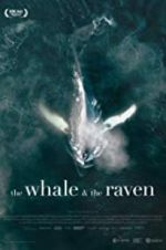 Watch The Whale and the Raven 123MovieFree