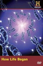 Watch How Life Began 123MovieFree