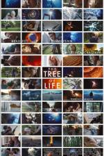 Watch The Tree of Life 123MovieFree