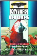 Watch PBS Nature - Extraordinary Birds 123MovieFree