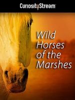 Watch Wild Horses of the Marshes 123MovieFree