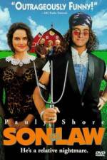 Watch Son in Law 123MovieFree