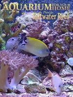 Watch Aquarium for Your Home: Saltwater Reef 123MovieFree