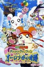 Watch Hamtaro Movie 3: Ham Ham Grand Prix 123MovieFree