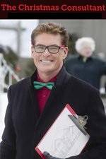 Watch The Christmas Consultant 123MovieFree