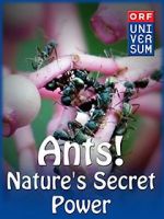 Watch Ants: Nature\'s Secret Power 123MovieFree