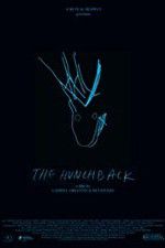 Watch The Hunchback 123MovieFree