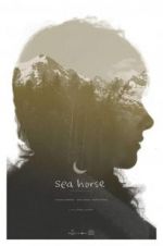 Watch Sea Horse 123MovieFree