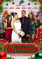 Watch For the Love of Christmas 123MovieFree