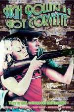 Watch High Rolling in a Hot Corvette 123MovieFree