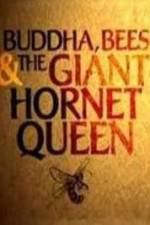 Watch Natural World Buddha Bees and the Giant Hornet Queen 123MovieFree