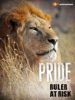 Watch Pride - Ruler\'s at Risk 123MovieFree