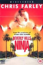 Watch Beverly Hills Ninja 123MovieFree