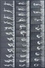 Watch Woman Throwing Baseball 123MovieFree