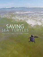 Watch Saving Sea Turtles: Preventing Extinction 123MovieFree