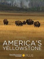 Watch America\'s Yellowstone 123MovieFree