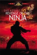 Watch Revenge of the Ninja 123MovieFree