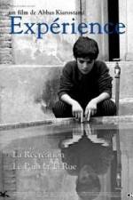 Watch The Experience 123MovieFree