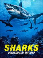 Watch Sharks: Predators of the Deep 123MovieFree