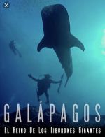 Watch Galapagos: Realm of Giant Sharks 123MovieFree