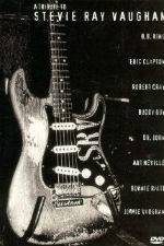 Watch A Tribute to Stevie Ray Vaughan 123MovieFree