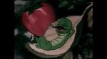 Watch The Wacky Worm (Short 1941) 123MovieFree