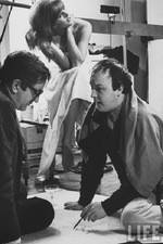 Watch The Man Who Shot the 60s 123MovieFree