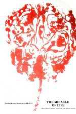 Watch The Miracle of Life 123MovieFree