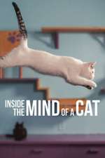 Watch Inside the Mind of a Cat 123MovieFree