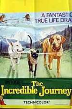 Watch The Incredible Journey 123MovieFree