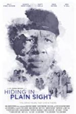 Watch Hiding in Plain Sight 123MovieFree