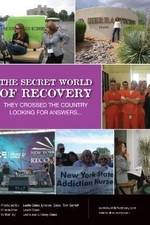 Watch The Secret World of Recovery 123MovieFree