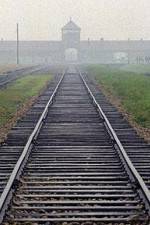 Watch AUSCHWITZ: FACTORIES OF DEATH 123MovieFree