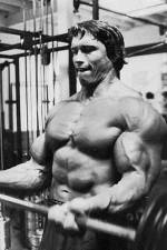 Watch The Comeback 123MovieFree