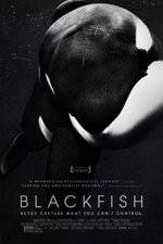 Watch Blackfish 123MovieFree