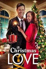 Watch A Christmas Love 123MovieFree