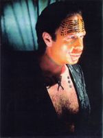 Watch The Age of Insects 123MovieFree