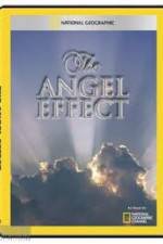 Watch National Geographic Explorer - The Angel Effect 123MovieFree