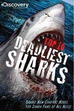 Watch National Geographic Worlds Deadliest Sharks 123MovieFree