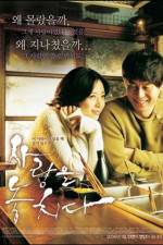 Watch Lost in Love 123MovieFree