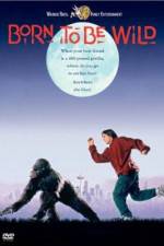 Watch Born to Be Wild 123MovieFree