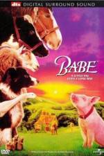 Watch Babe 123MovieFree