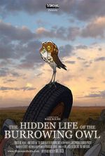 Watch The Hidden Life of the Burrowing Owl (Short 2008) 123MovieFree
